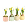 Easter colourful ceramic small - Narcis, Zonder verpakking