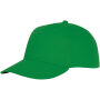 Ares 6 panel cap - Varengroen