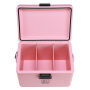 Brisby Koelbox - Frigobox - Coolbox - Auto - Lichtgewicht - Broodtrommel - 12L - 2 Gratis koelelementen van 450ml per stuk - Incl. Dividers Snijplanken - Bieropener - Flesopener - Max. 40 uur isolatie - Roze
