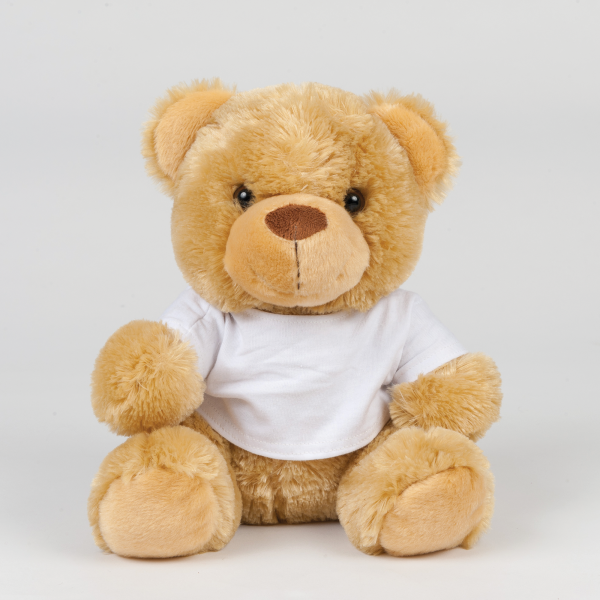 Teddybeer met T-shirt