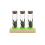 Tiny Treasurez® - Trio tube & wood, Groen