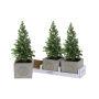 Congreet® plantpots large - Christmas edition, Zonder verpakking