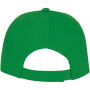 Ares 6 panel cap - Varengroen