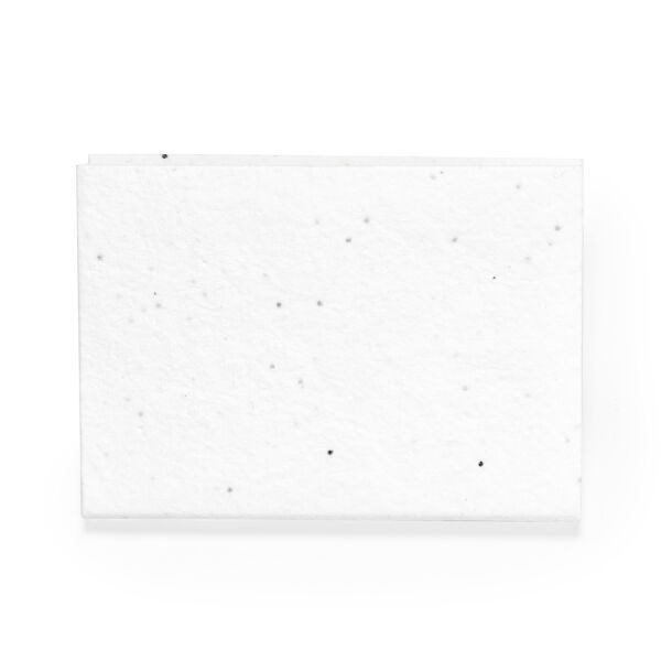 Zaad Plakmemo-Blokje Albot - BLA - S/T Zaad Plakmemo-Blokje Albot - BLA - S/T