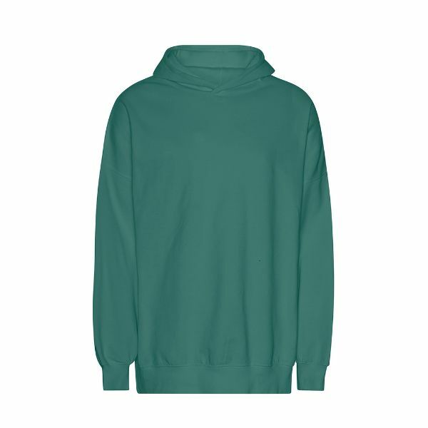 Neutral Tiger Cotton Oversized Hoodie_Teal_XS Neutral Tiger Cotton Oversized Hoodie_Teal_XS