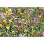 FLOMIX - Mix bloemzaden schijf - Beige