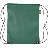 rPET polyester (210D) trekkoord rugtas Calix groen