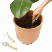 Tuinset PLANT IT bruin