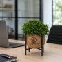 Kokodama® large - Industrial easy green mix, Zonder verpakking