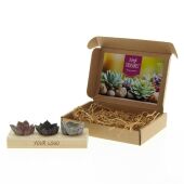 Tiny Treasurez® - Trio wood in brievenbusdoosje