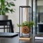 Kokodama® small - Hanging green mix