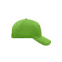 5 Panel Cap kiwi one size