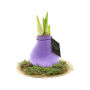 No Water Flowers® - Waxz® on golden dish, In giftbox, Pastel paars