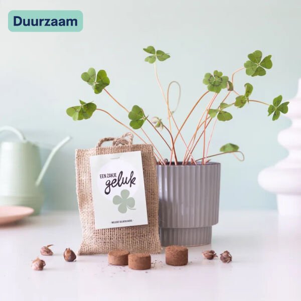 Een zakje Geluk I Klavertje vier bollen