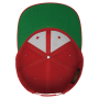 Classic Snapbackpet RED One Size