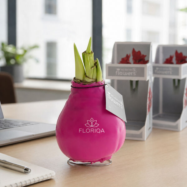 No Water Flowers® - Waxz® Colours, In luxury box, Zwart No Water Flowers® - Waxz® Colours, In luxury box, Zwart