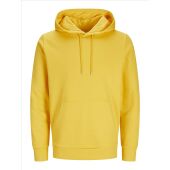 Spectra Yellow