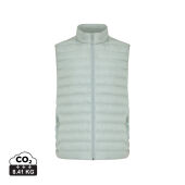 iceberg green
