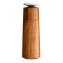 Peper- of Zoutmolen RE98-MILLMASTER