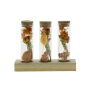 Dried Flowers - Trio tube & wood, Oranje