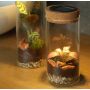 Wardians® Ecosystem - Cylinder small + Solar LED, Zonder verpakking