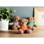 JOHNNY - Teddybeer met sweatshirt - Oranje