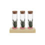 Tiny Treasurez® - Trio tube & wood, Licht roze