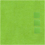 Nanaimo short sleeve men's t-shirt - Apple green - S