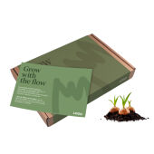 Verzendsleeve - Mix met Voorjaarsbloeiers (plantseizoen oktober-december)