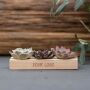 Tiny Treasurez® - Trio wood