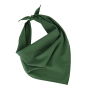 Fiesta - Bandana Pasture Green One Size