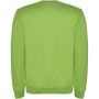 Clasica unisex trui met ronde hals - Oasis Green - L