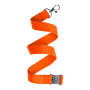 Savent - lanyard