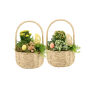 Easter carry basket large - Kalanchoë, Zonder verpakking