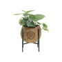 Kokodama® - Industrial green mix (S), Zonder verpakking