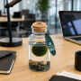 Marimo moss balls - Bottle medium, Zonder verpakking