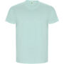 Golden herenshirt met korte mouwen - Mintgroen - 3XL