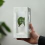 Message Printz® - Hartjesplant, In giftbox