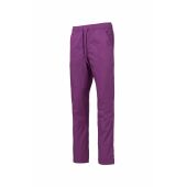 summer violet