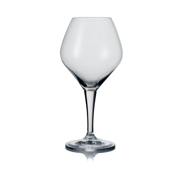 Amoron bierglas – geschikt voor 25 en 30 cl