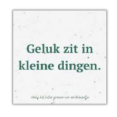 Loofy's Bloeipapierkaart vierkant