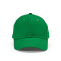 Darrell Cap - Groen