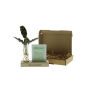 Hydroponic plants - Cardholder & tube
