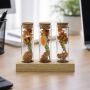 Dried Flowers - Trio tube & wood, Multicolor