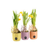 Easter in colourful ceramic small