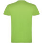 Beagle short sleeve kids t-shirt - Oasis Green - 3/4
