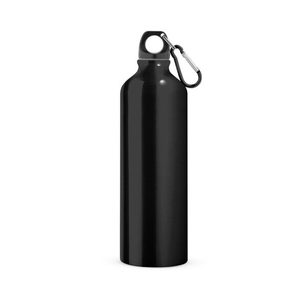 LANDSCAPE L. Aluminium sportfles met karabijnhaak 800 mL