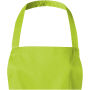 Viera 240 g/m² schort - Lime