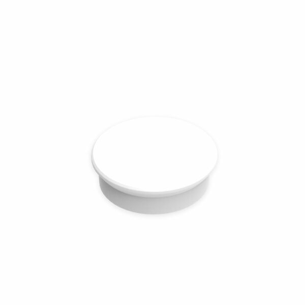 Whiteboard Magnet Large wit