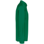 Overhemd in onderhoudsvriendelijk polykatoen-popeline heren Kelly Green XS